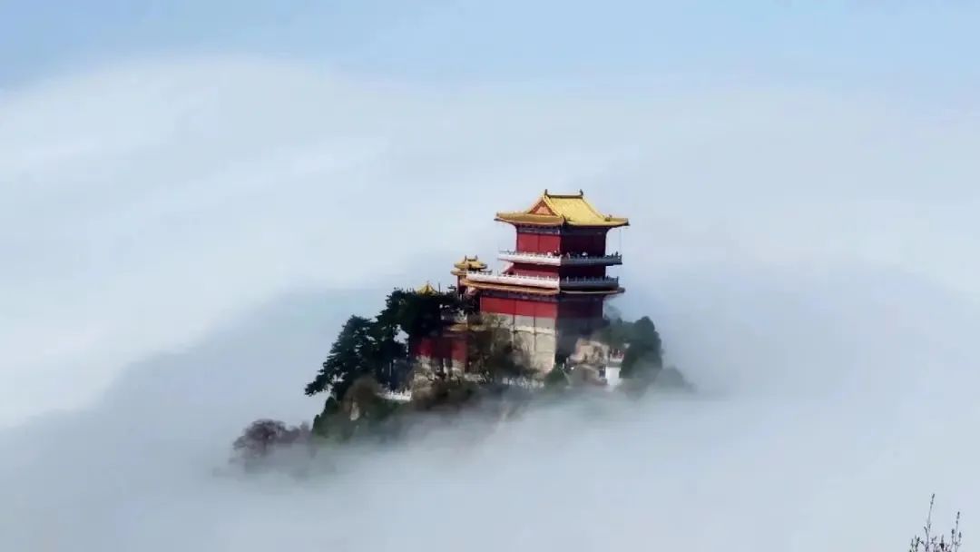 不忘初心，，，，，砥砺前行| 祝贺天游ty8集团建设25周年-天游ty8
